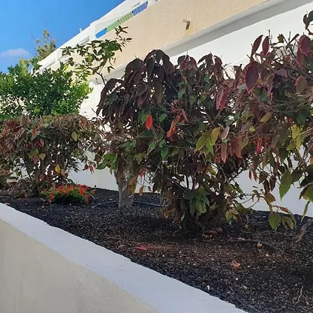 Apartament Adults Only Sunny Quiet With Aircon In Center Of Americas *