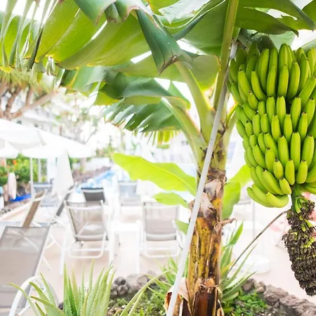 Apartament Adults Only Sunny Quiet With Aircon In Center Of Americas Playa de las Americas (Tenerife)